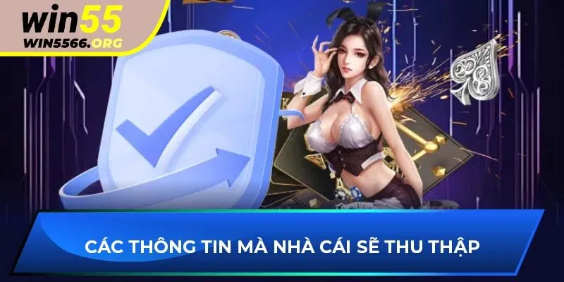 Các thông tin mà nhà cái sẽ thu thập