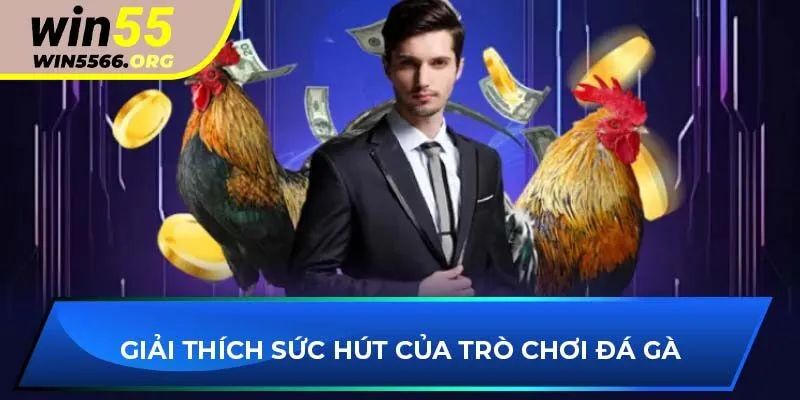 Giải thích sức hút của trò chơi đá gà