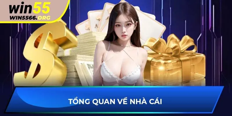 Tổng quan về nhà cái